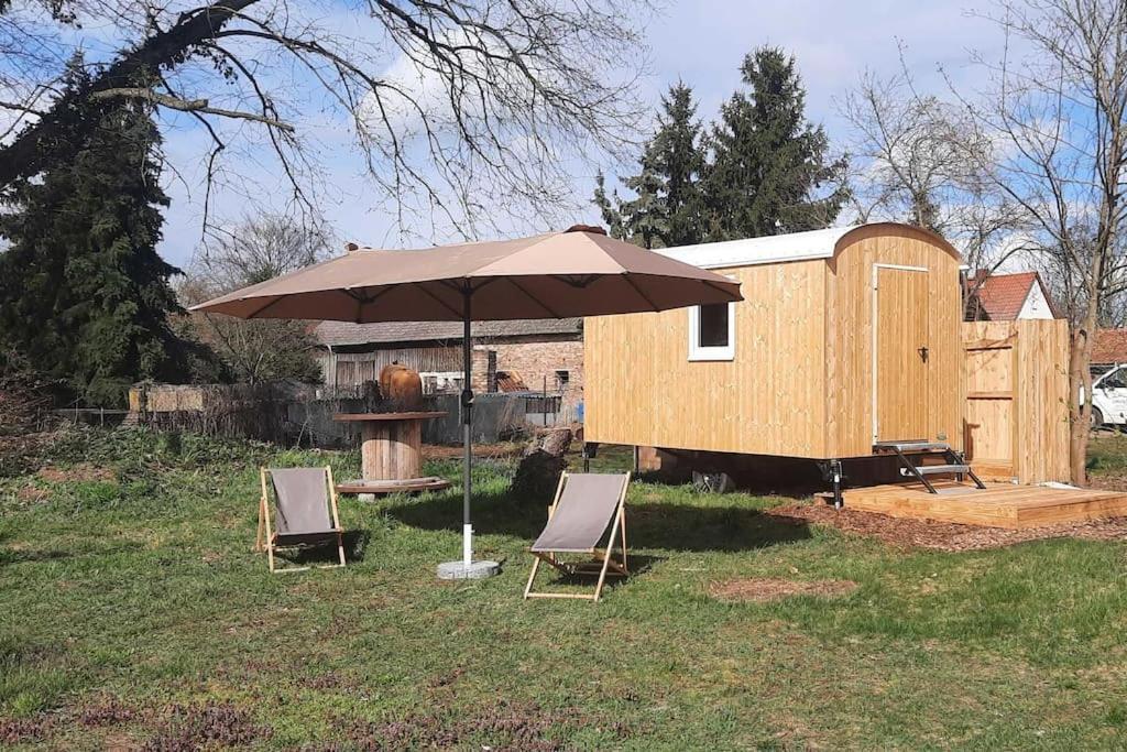 Zirkuswagen Glamping Fuer 2 Mit Veranda Kueche Netflix Parken Und Hofladen Steinhofel ภายนอก รูปภาพ